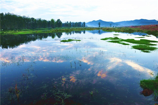 南部八尔滩湿地