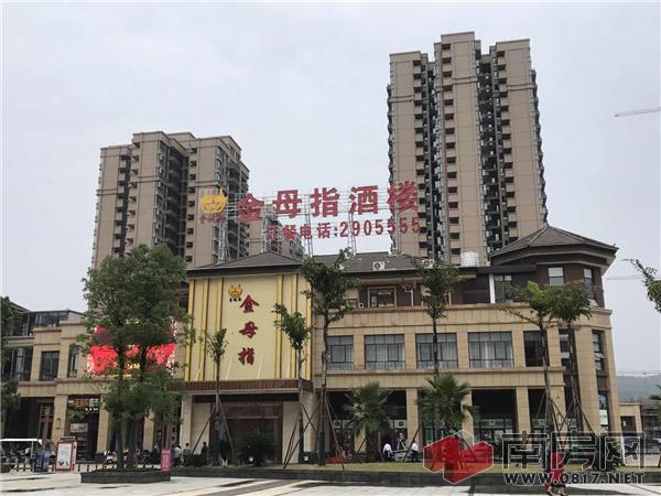 南湖新天地暨金母指酒楼开业媒体发布会圆满落